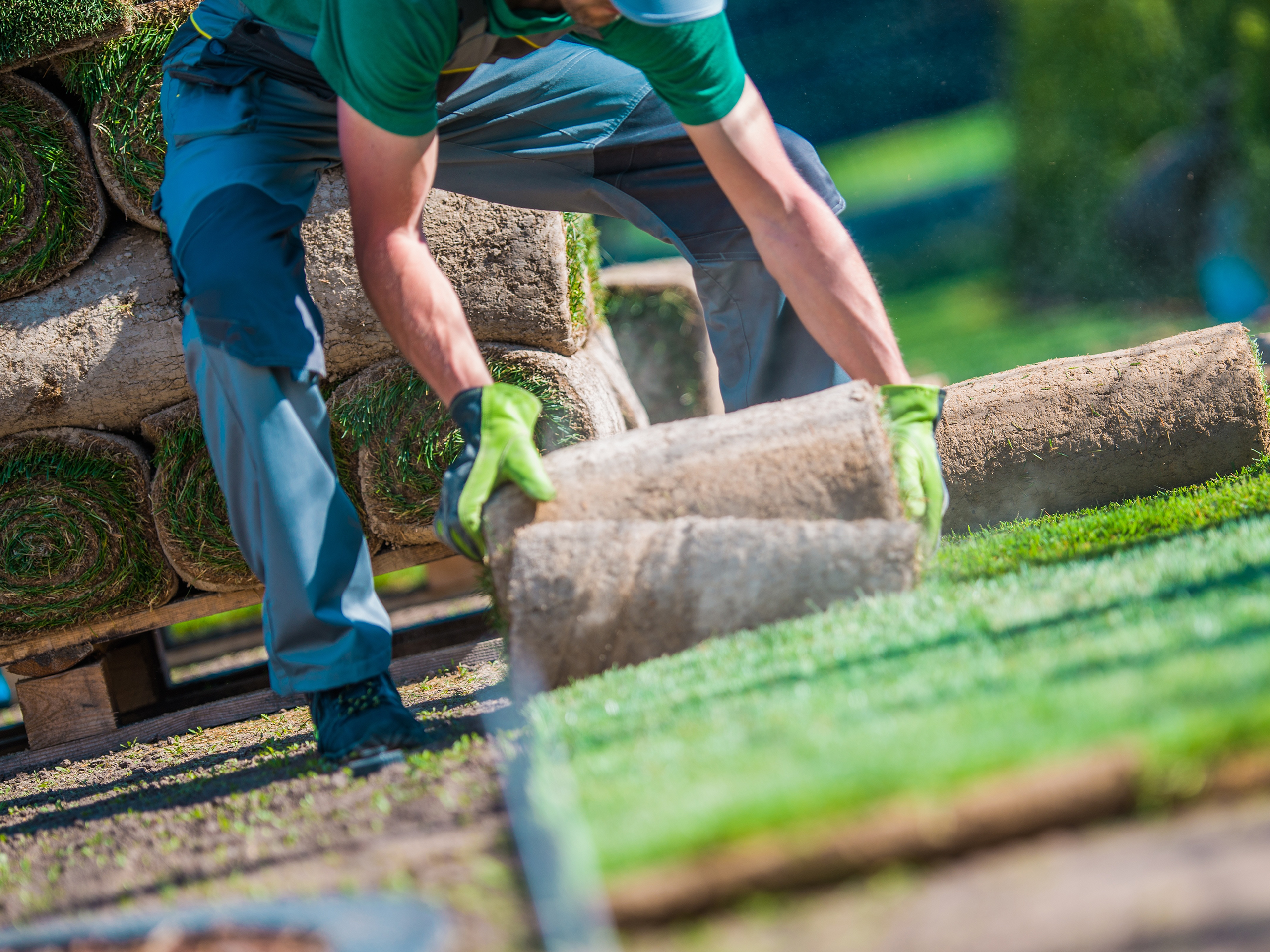 sod install kenosha Mulch installation with clean bed edging — Kenosha