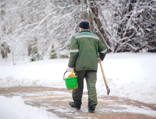 Brine, Pre-Wet, or Rock Salt? Smart De-Icing for Kenosha Temps