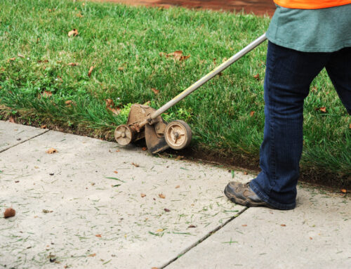 What ‘Clean Edges’ Really Mean in Lawn Care