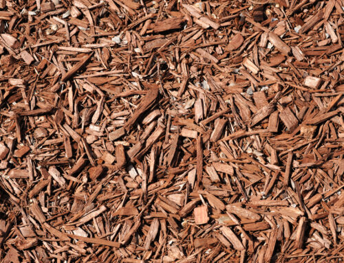 What Happens If Mulch Is Installed Without Proper Bed Prep?